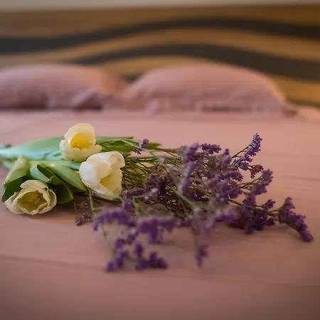 Skylight Megaron Ларнака