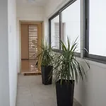 Skylight Megaron *